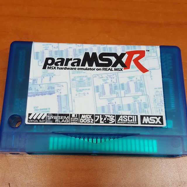ParaMSX R