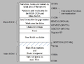 Thumbnail for version as of 09:42, 10 August 2023