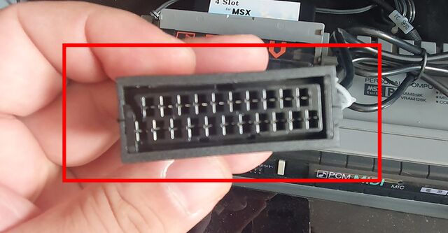 SCART Female