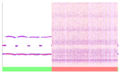 Thumbnail for version as of 12:41, 24 August 2022